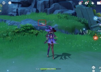 All Dreamshells in Genshin Impact: where to find and how to get the Fischl skin