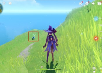 All Dreamshells in Genshin Impact: where to find and how to get the Fischl skin