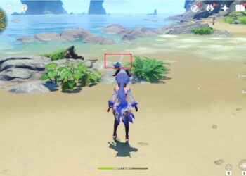 All Dreamshells in Genshin Impact: where to find and how to get the Fischl skin