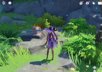 All Dreamshells in Genshin Impact: where to find and how to get the Fischl skin